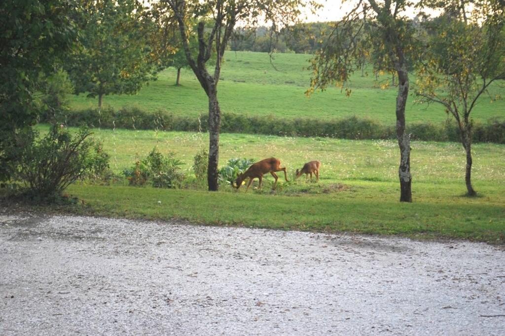Domaine Solaya Villa Coutras